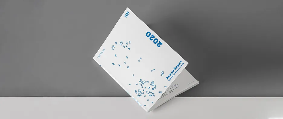 Image of the Publication "IAS Annual Report 2020". The Cover shows a hand-drawn illustration of people from the bird's eye view from a great distance.