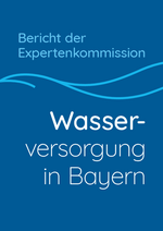 Title page of the expert report